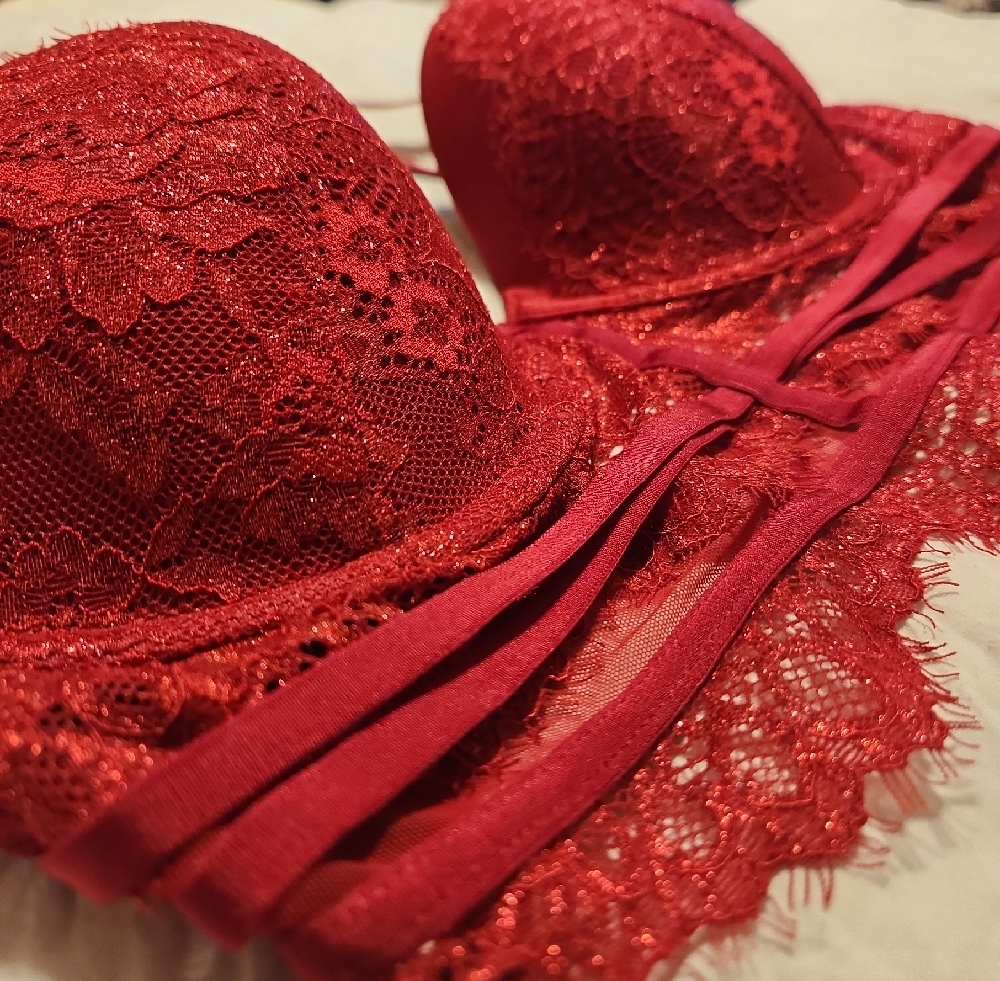 La SENZA Red Lace Longline Push-Up Bra